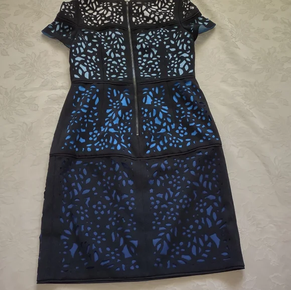 Shani ombre laser cut lace sheath luxury dress short sleeves wearable art
